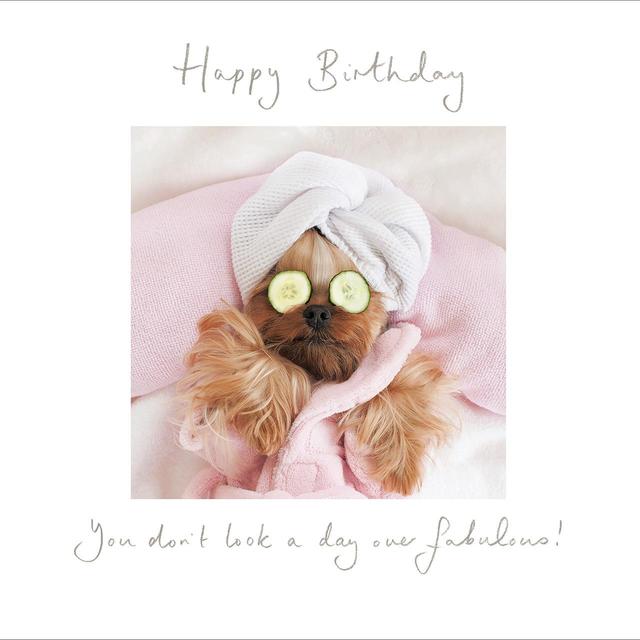 Fabulous Spa Dog Birthday Card