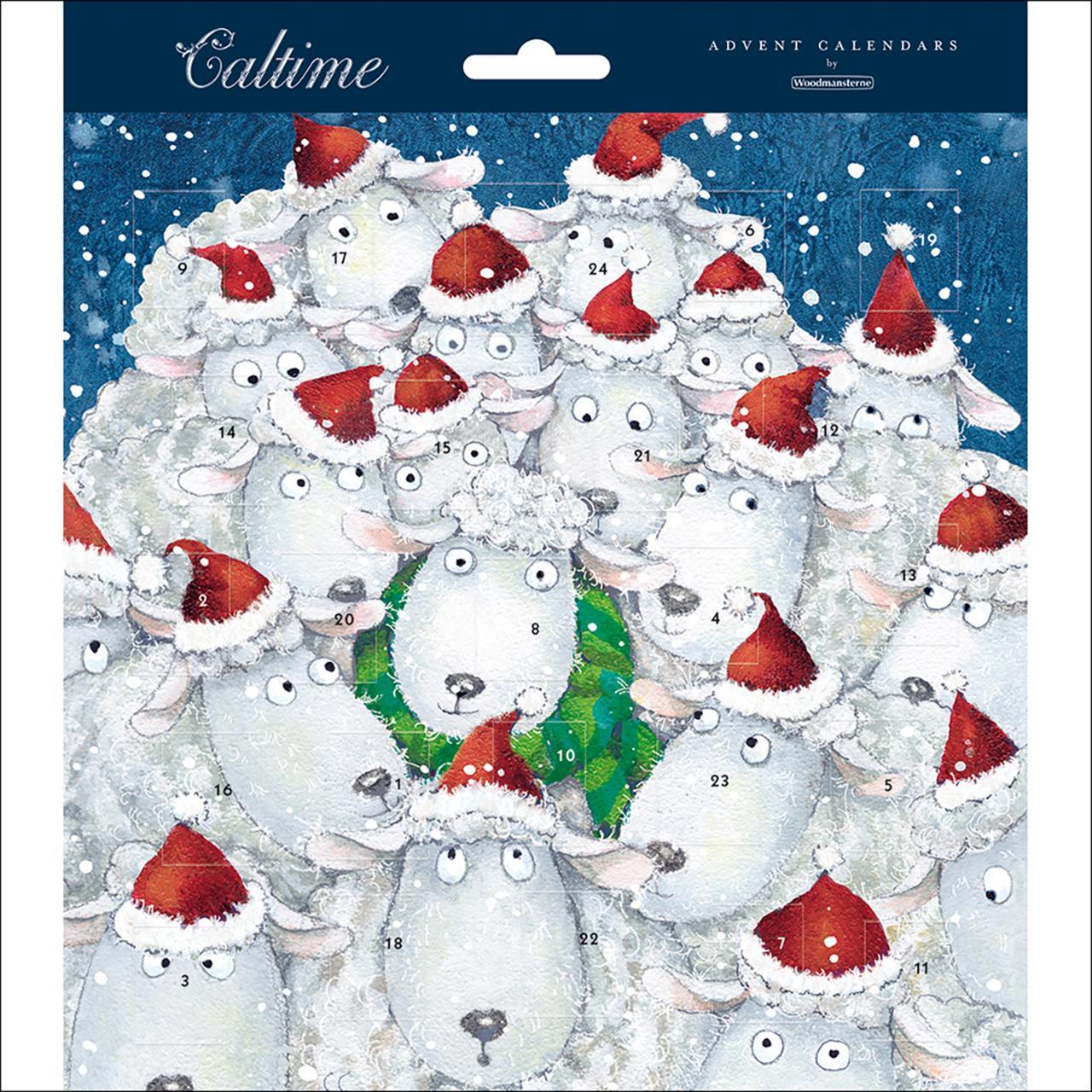 Cosy Christmas Sheep Advent Calendar