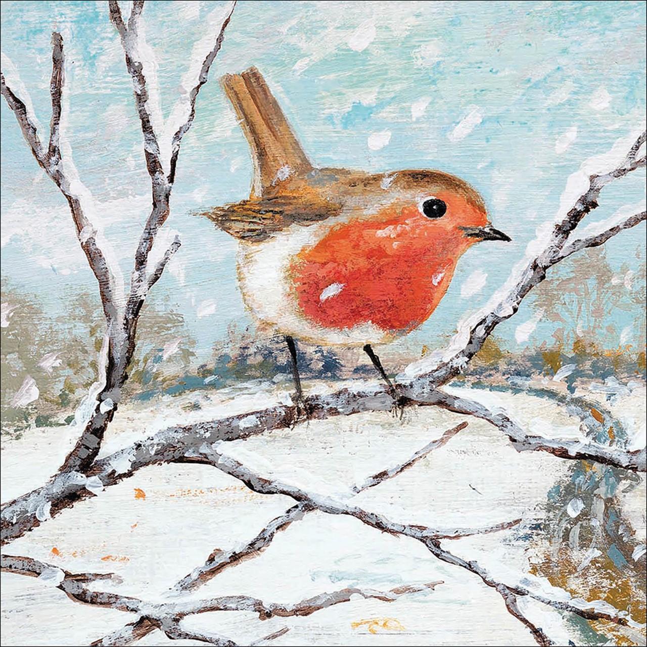 RSPB Charity Christmas Card Pack