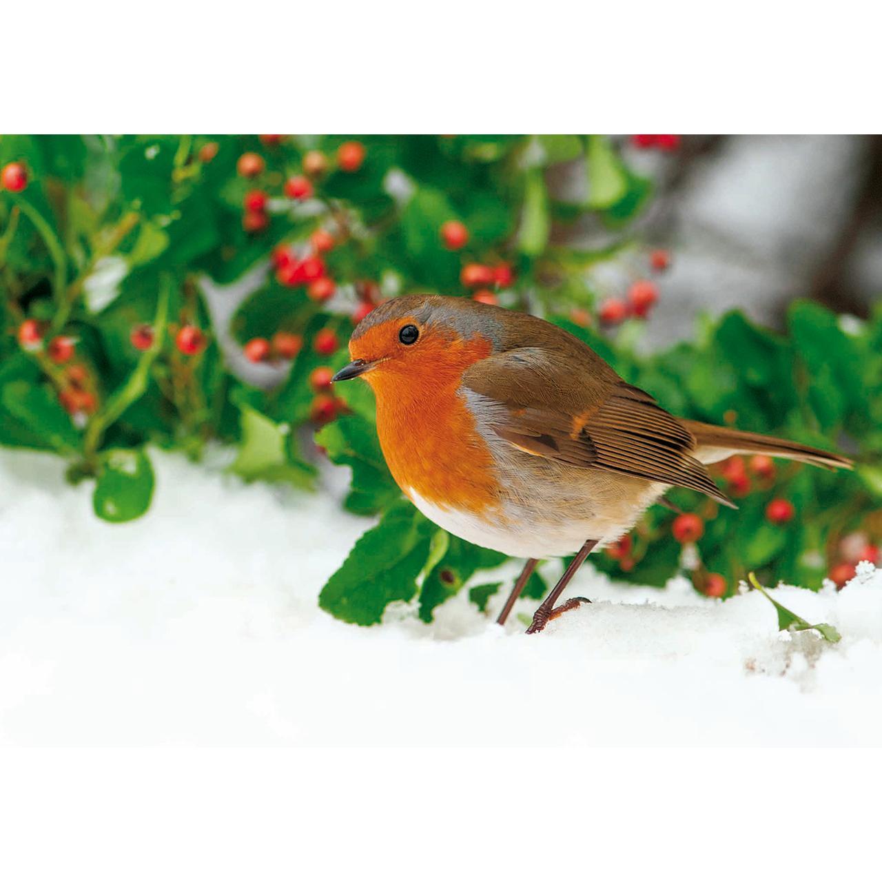 National Trust Christmas Card Pack