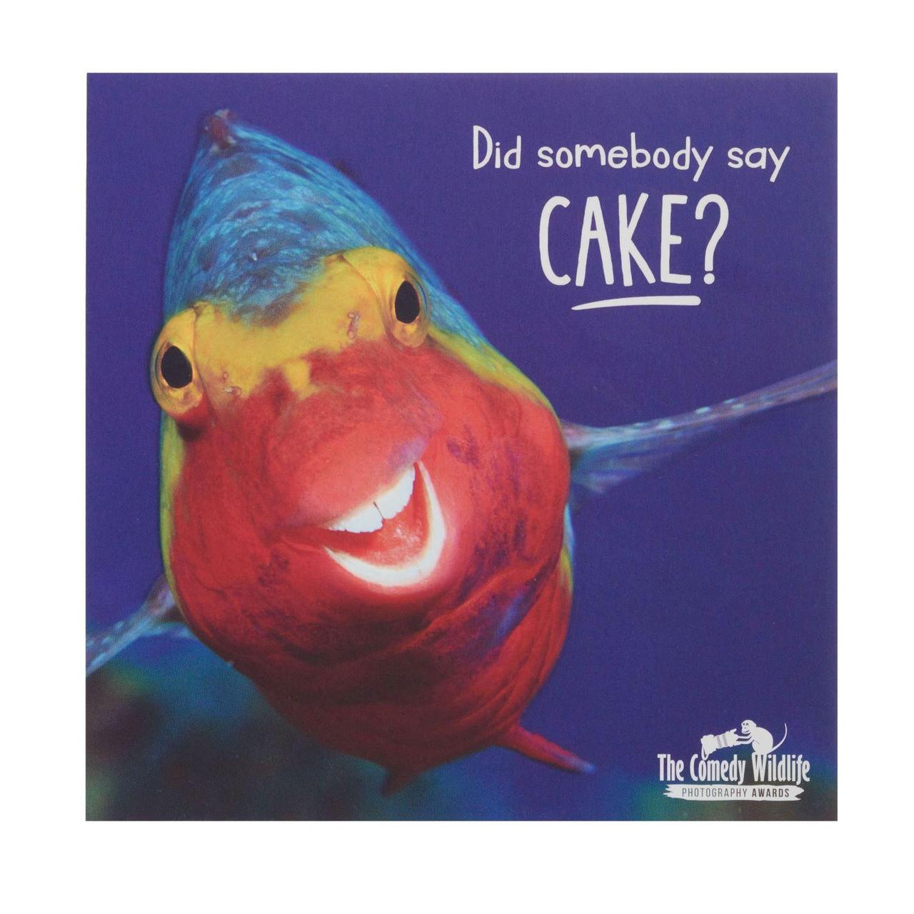 Did Somebody Say Cake Birthday Card