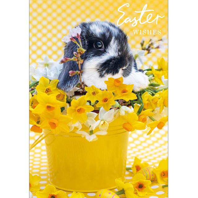 Easter Bunny Card 