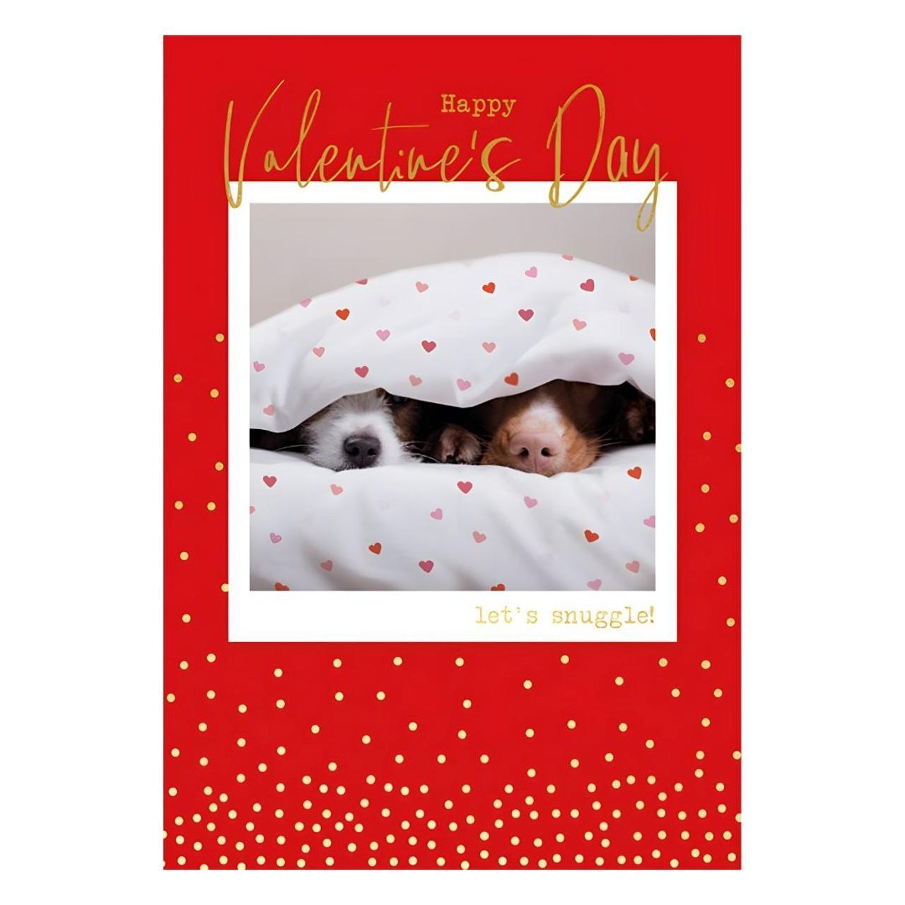 Let's Snuggle Valentine's Day Card