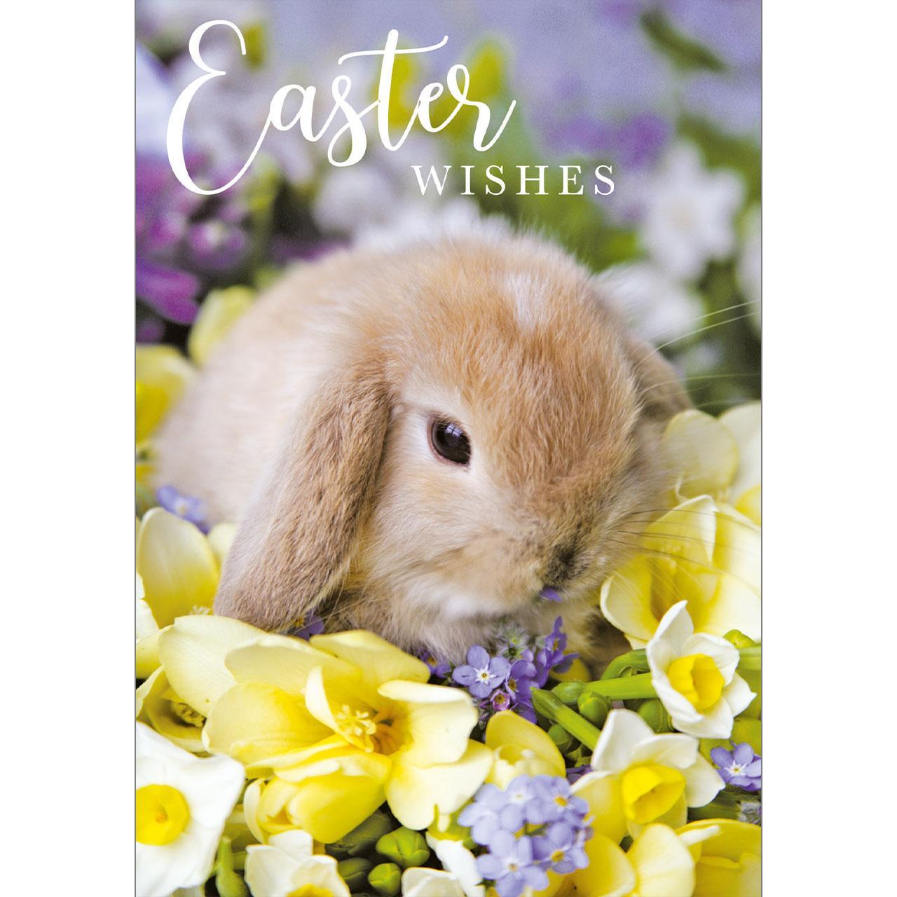 Bunny Happy Easter Card