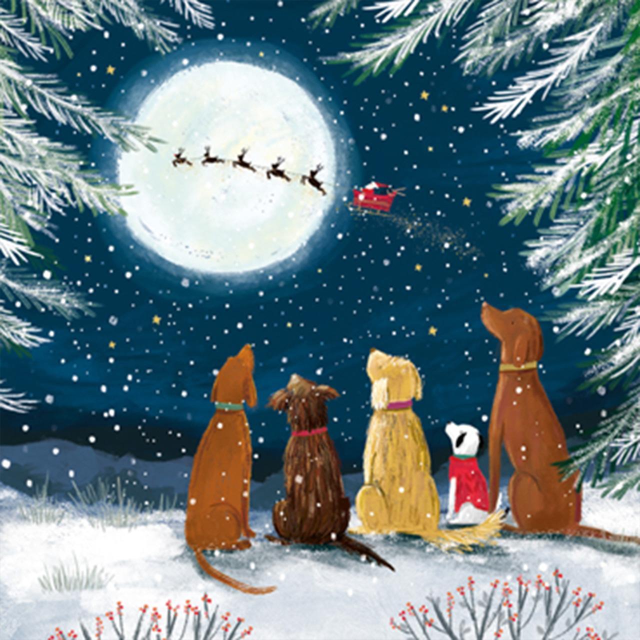 Sleigh Ride Charity Christmas Card Pack