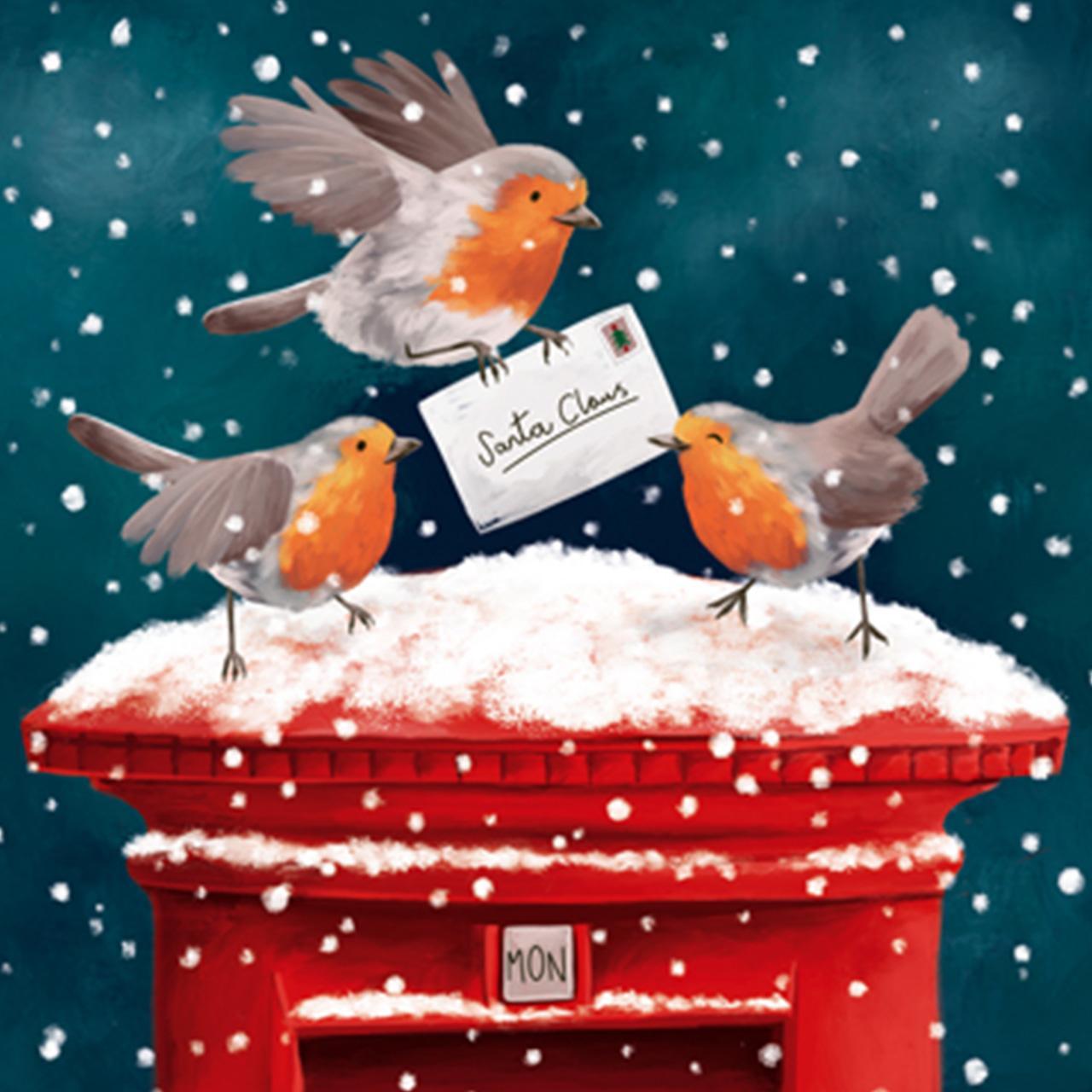 Postbox Robins Charity Christmas Card Pack