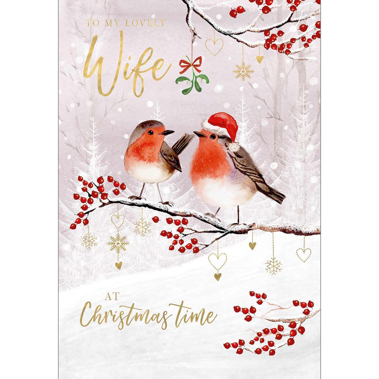 Wife Robins Christmas Card