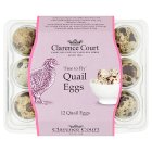 Clarence Court Quails Eggs x12