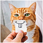 Icon Blank Card with Photographic Fun Ginger Cat Birthday Just to Say Greeting Card