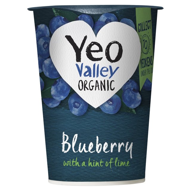 Yeo Valley Organic Blueberry With A Hint Of Lime  450g