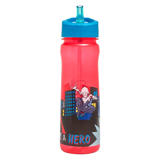 Spiderman Neighbourhood 600ml Sports Bottle 