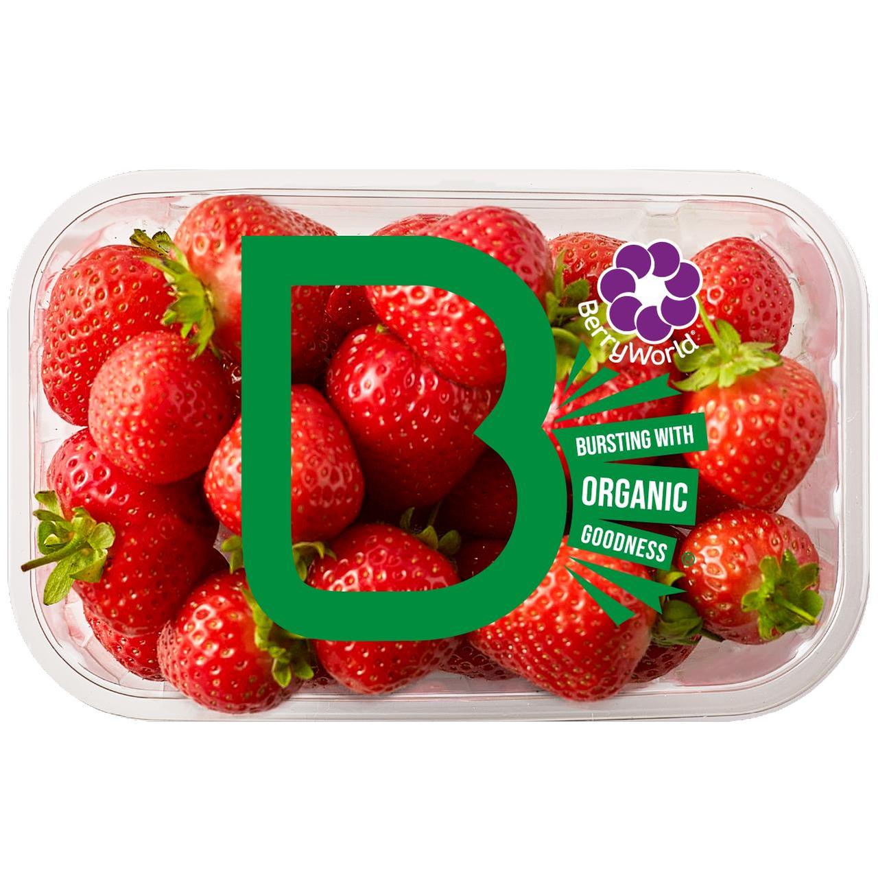 Berryworld Organic Strawberries