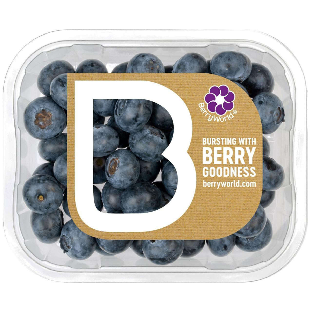 BerryWorld Blueberries