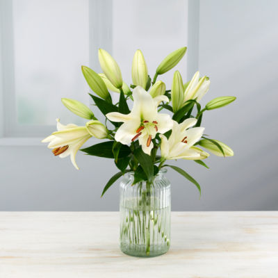 ASDA Oriental Lilies