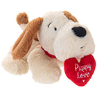 Sainsbury's Valentine's Puppy Love Patch