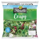 Florette Crispy Salad