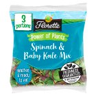 Florette Power of Plants Spinach & Baby Kale Salad 120g