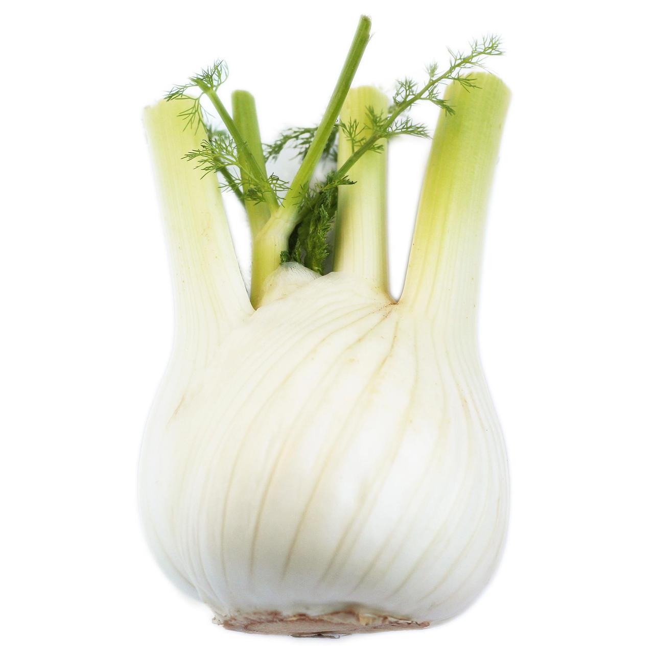 Wholegood Organic Fennel