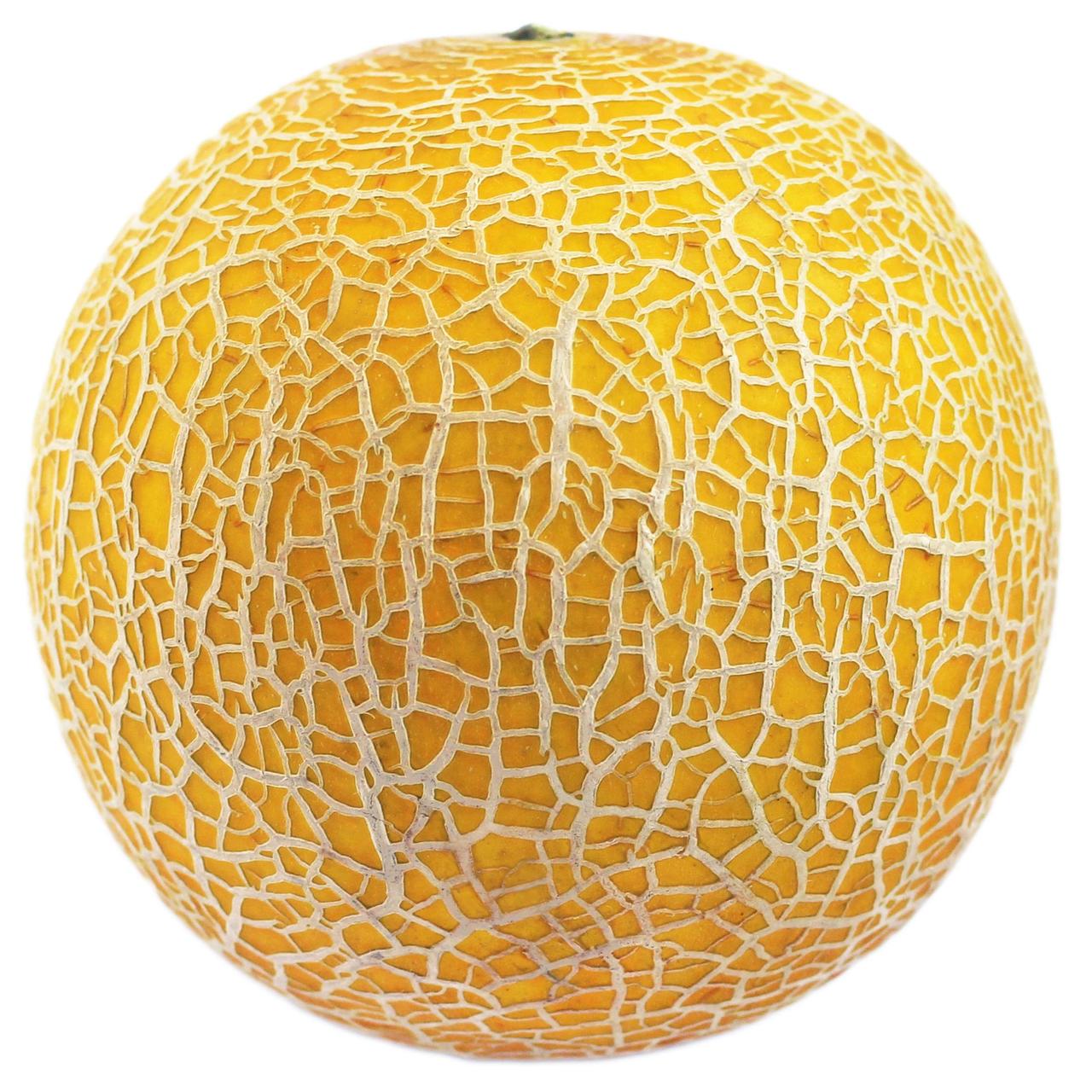 Wholegood Organic Galia Melon