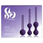 So Divine Sensual Kegel Ball Training Set