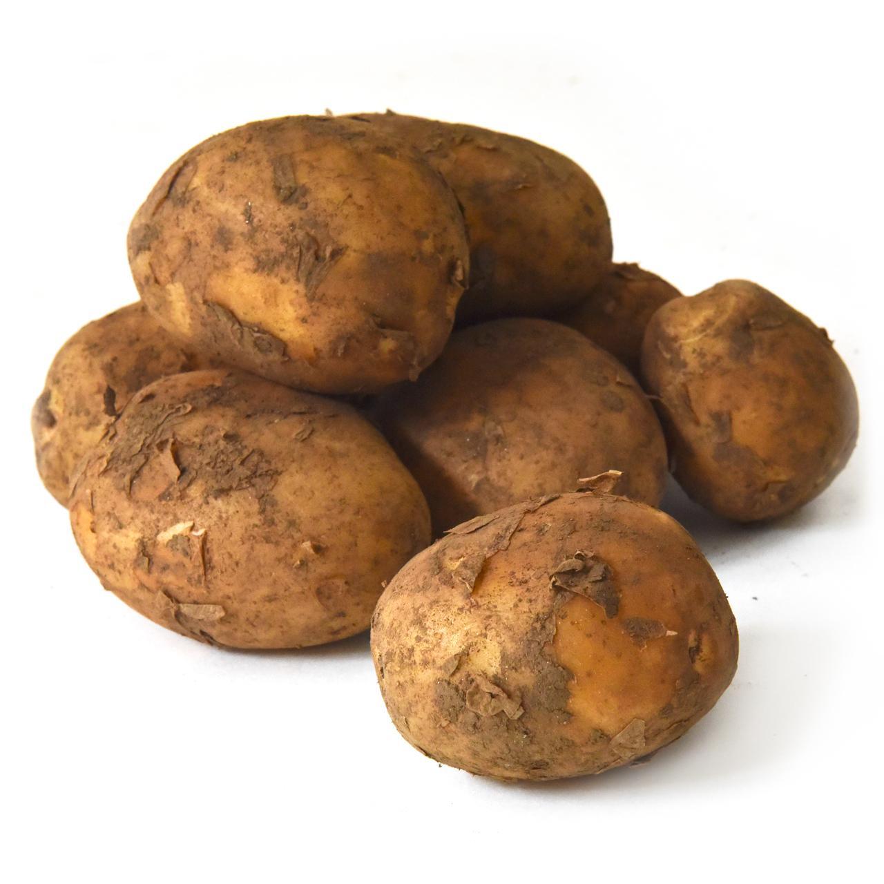 Natoora Cornish Potatoes