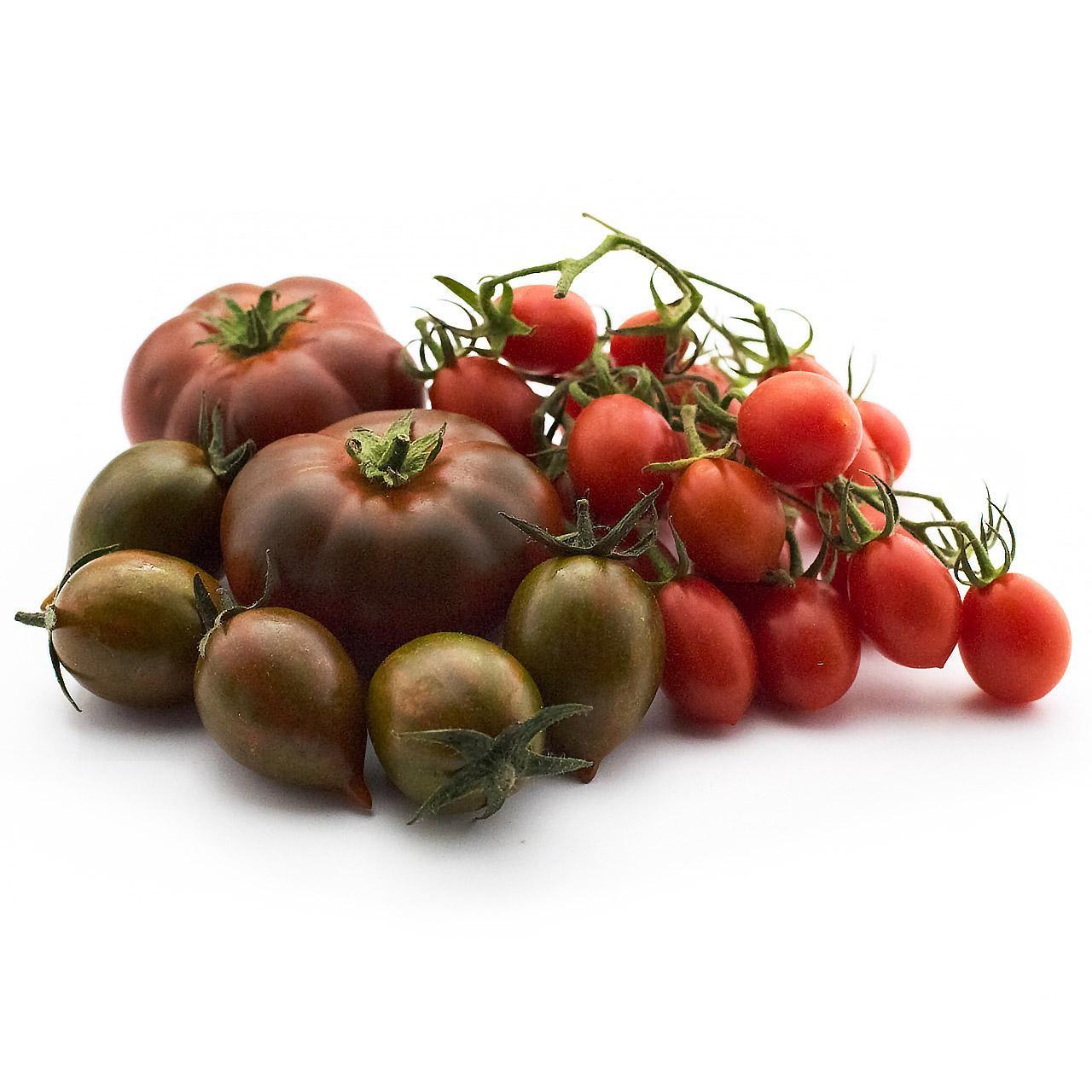 Natoora Seasonal Tomato Selection