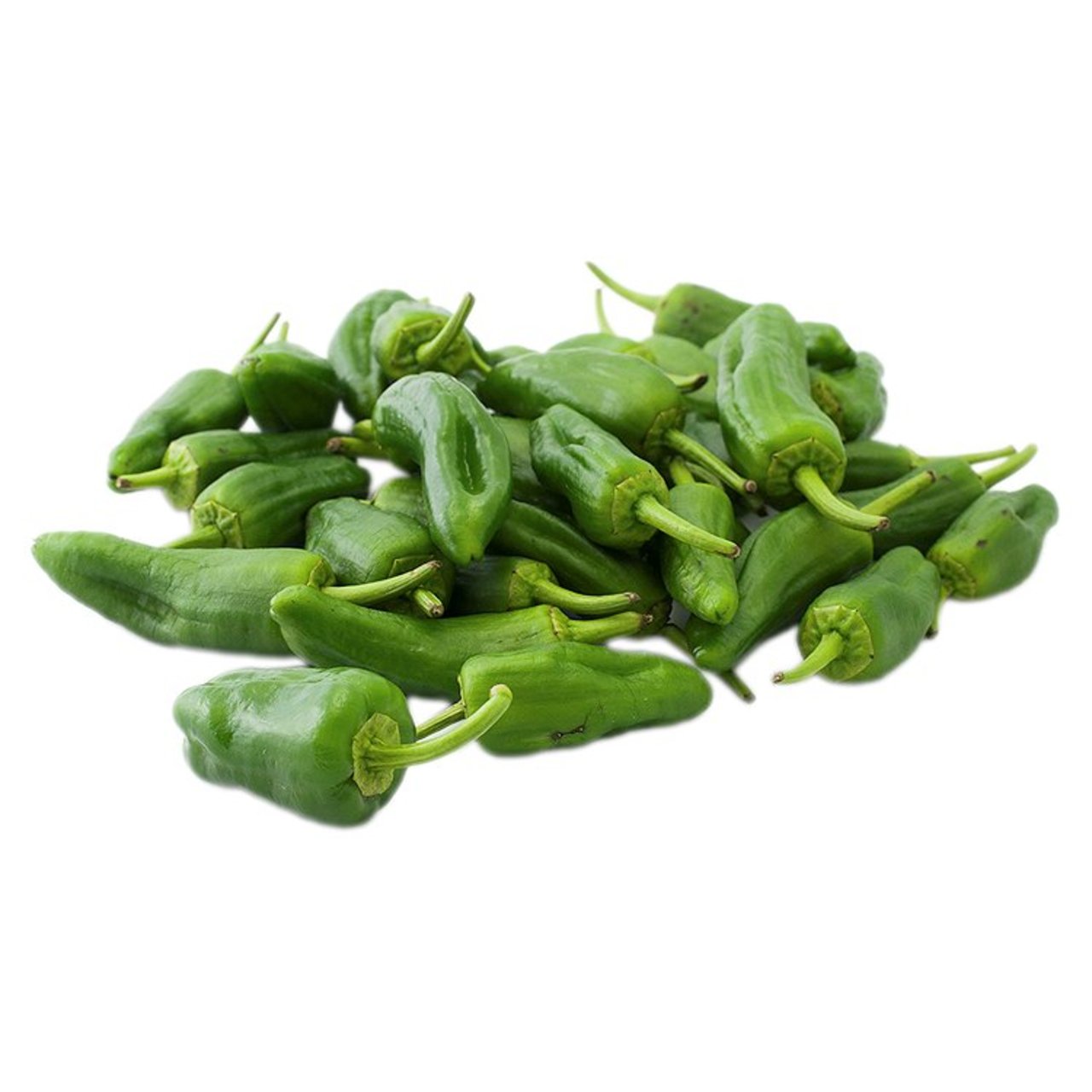 Natoora Spanish Padron Peppers