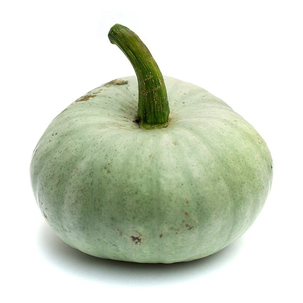 Natoora Organic British Crown Prince Pumpkin