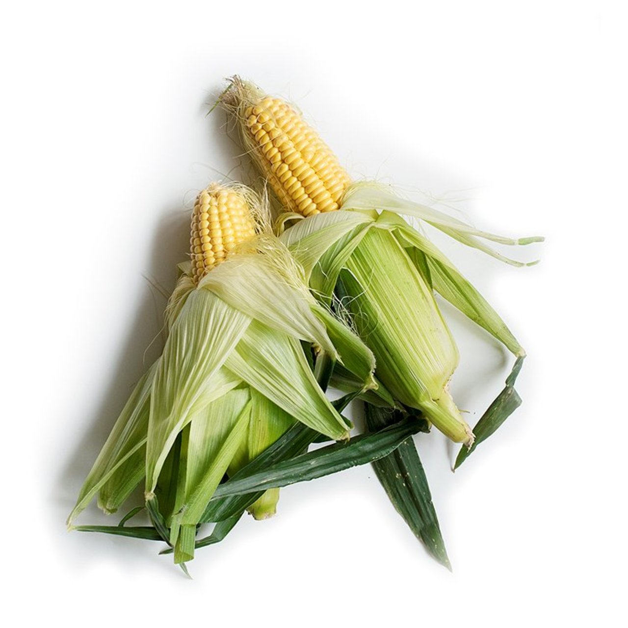 Natoora British Sweet Corn on Cob