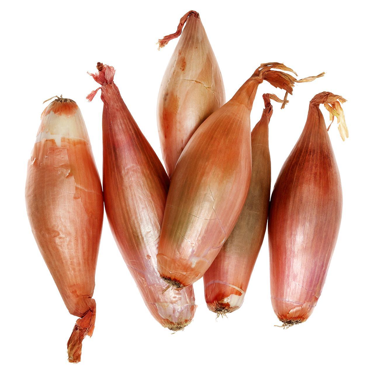 Natoora Echalion Shallots