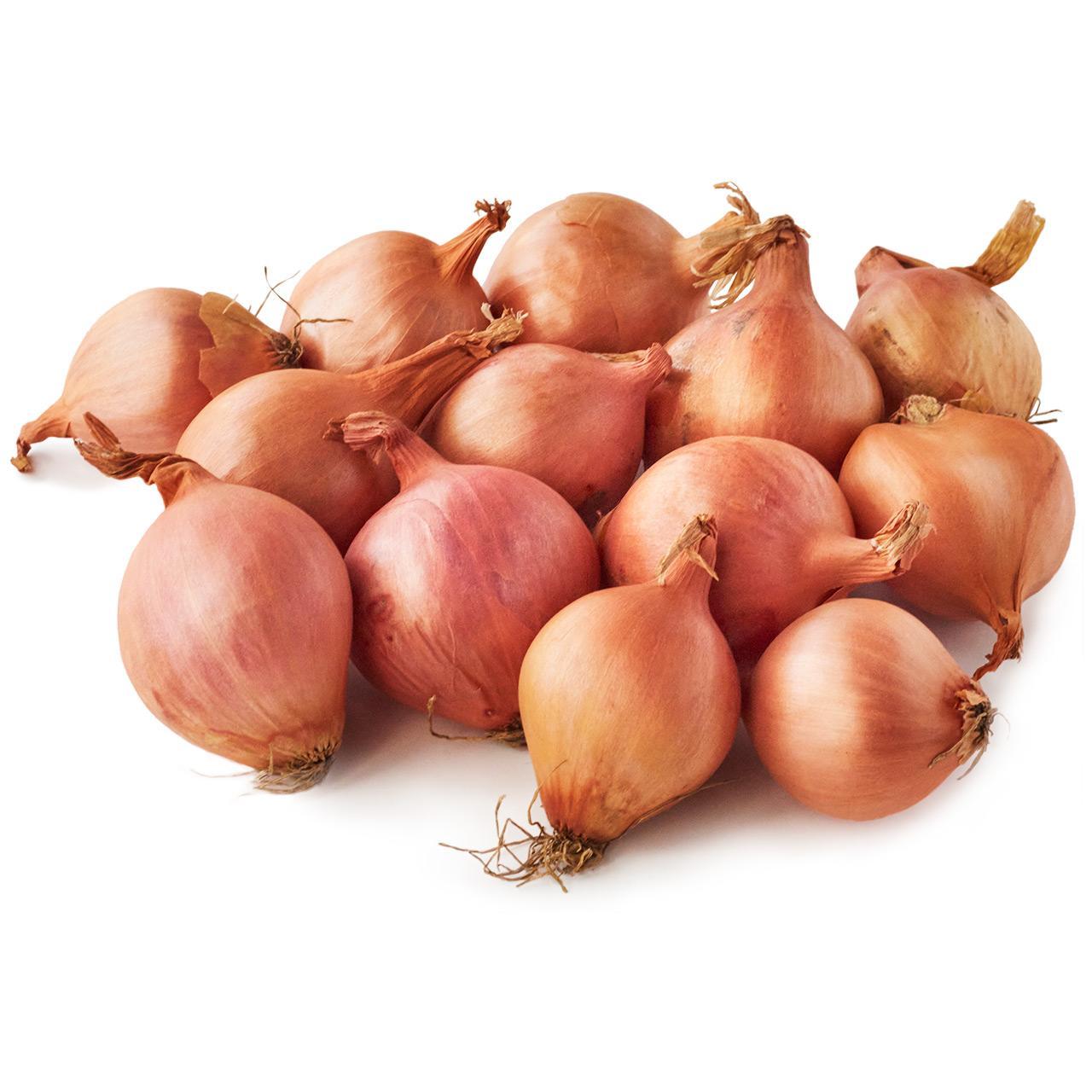 Natoora British Shallots