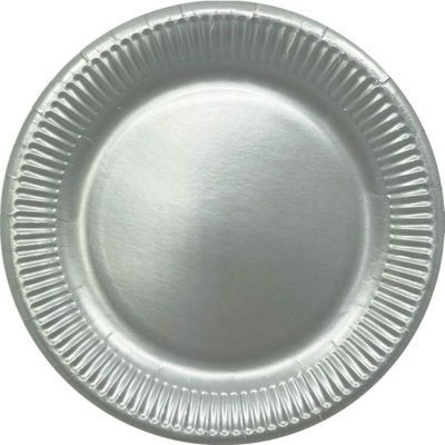 George Home 12 Silver Paper Plates