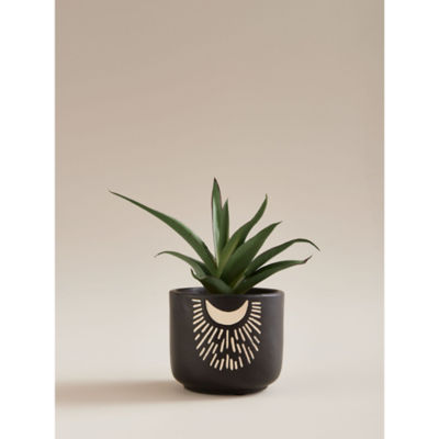 George Home Grey Artificial Aloe In Cement Crescent Motif Pot