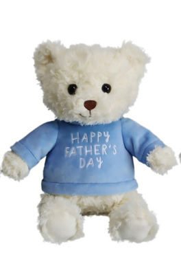 George Happy Father's Day Medium Teddy