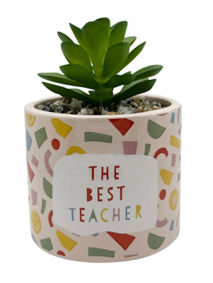 George Thank You Teacher Faux Succulent