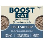 Boost Cat Fish Supper Complete Meal for Adult Cats 170g