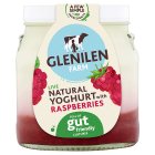 Glenilen Farm Raspberry Yoghurt