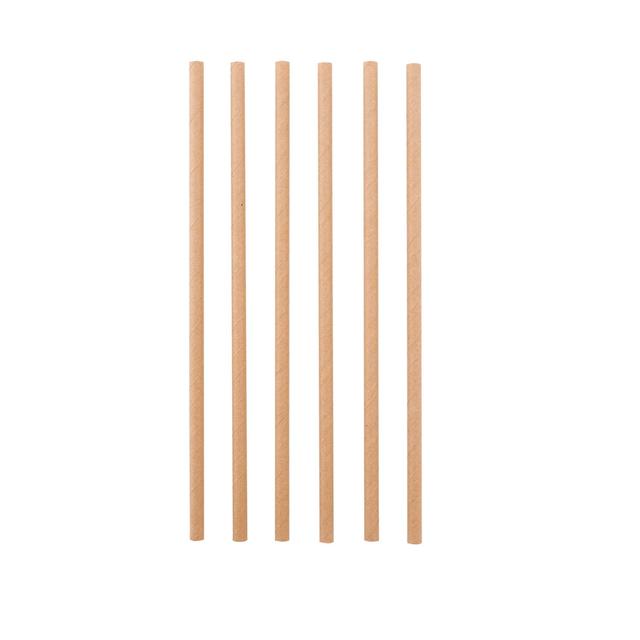 Point-Virgule 48 Brown Paper Drinking Straws 