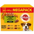 Pedigree Adult Wet Dog Food Pouches Mixed Selection in Gravy Mega Pack 40 x 100g