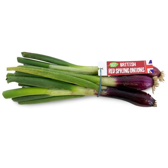 Nature's Pick Red Spring Onions 120g