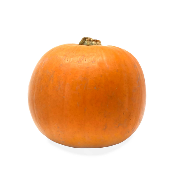 Halloween Magic Medium Pumpkin Each