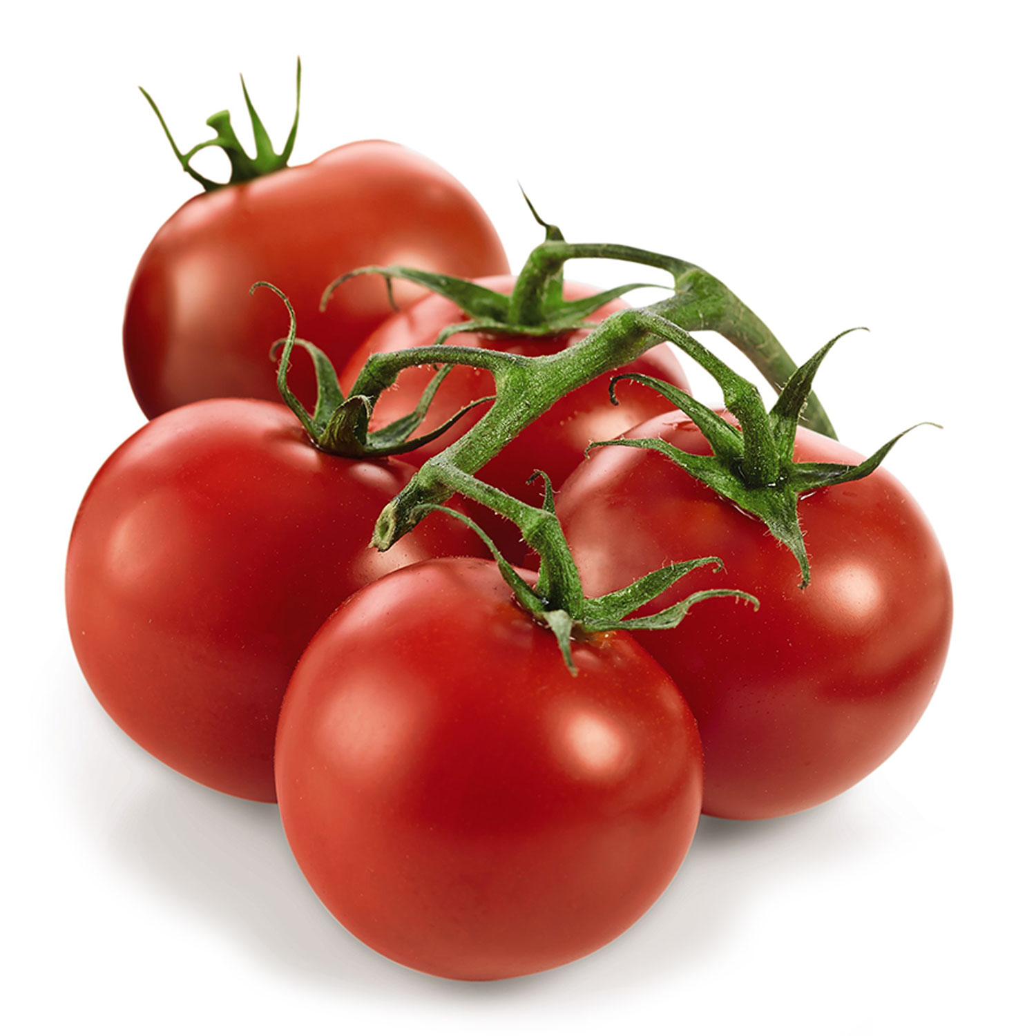 Specially Selected Regal Vine Tomatoes 450g