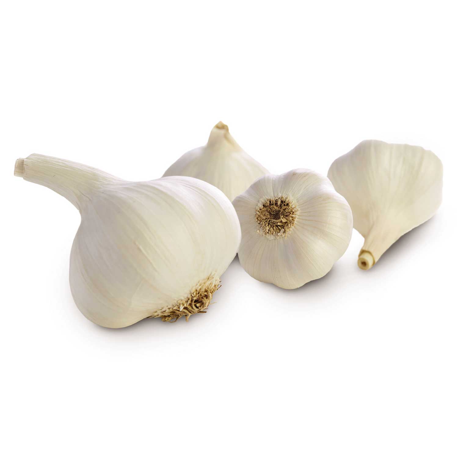 Nature's Pick Large Garlic Each