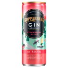 Kopparberg Strawberry Gin & Lemonade  250ml