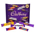 Cadbury Family Heroes Packs 222g