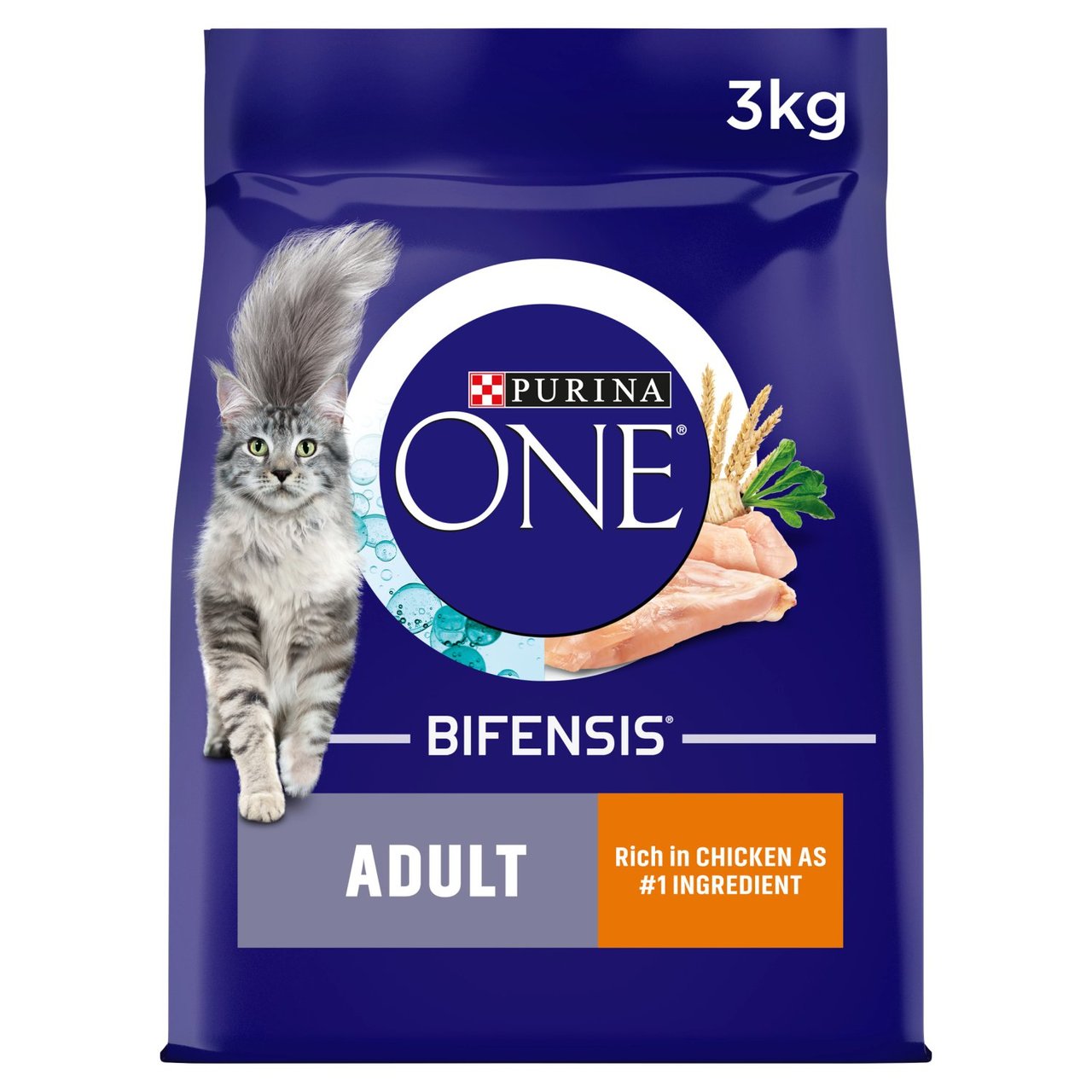 Purina ONE Adult Dry Cat Food Chicken and Wholegrains