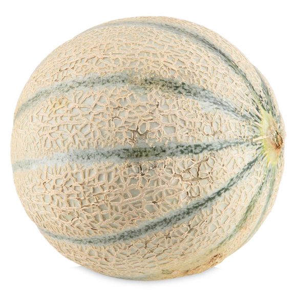 Nature's Pick Cantaloupe Melon Each