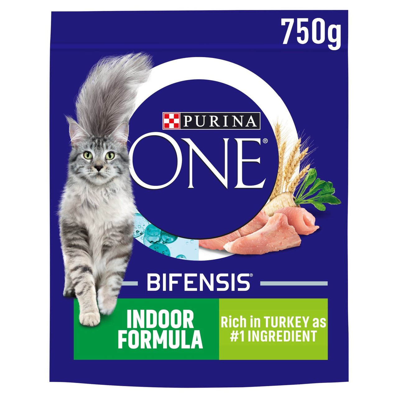 Purina One Indoor Turkey Dry Cat Food