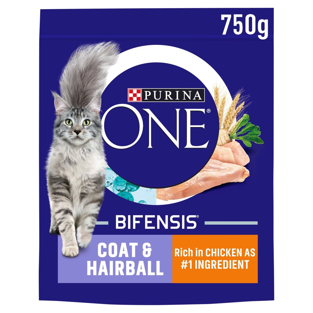 Purina One Coat & Hairball Chicken Dry Cat Food 