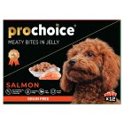 Prochoice Chunks in Jelly with Salmon for Adult Dogs 100g